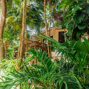 Hotel Casa Ambar & Boutique (adults Only)