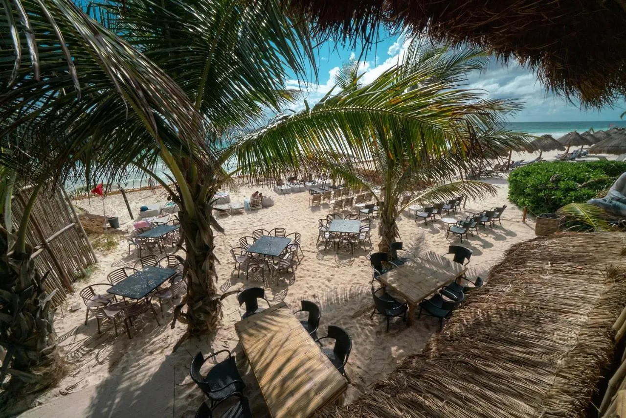 Cabanas La Eufemia تولوم 3*,